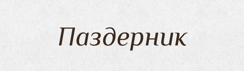 Паздерник — Російсько-український академічний словник (А–П)