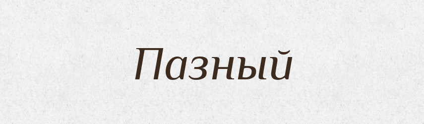 Пазный — Російсько-український академічний словник (А–П)
