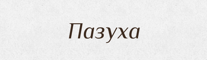 Пазуха — Російсько-український академічний словник (А–П)