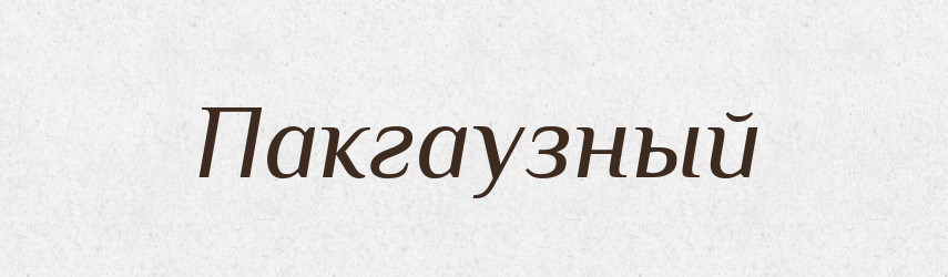 Пакгаузный — Російсько-український академічний словник (А–П)