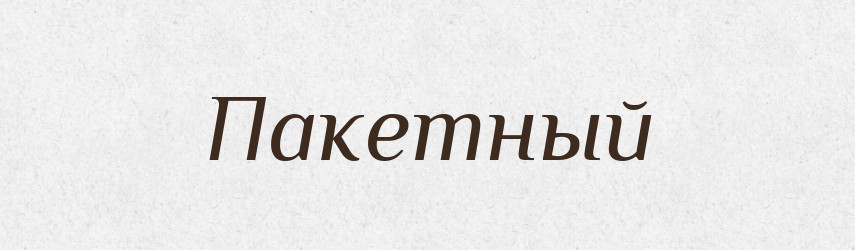Пакетный — Російсько-український академічний словник (А–П)