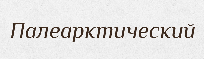 Палеарктический — Російсько-український академічний словник (А–П)
