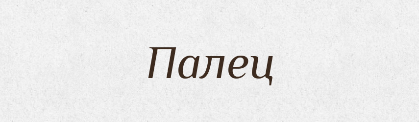 Палец — Російсько-український академічний словник (А–П)