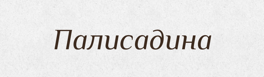 Палисадина — Російсько-український академічний словник (А–П)