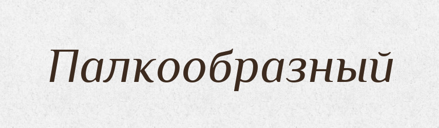 Палкообразный — Російсько-український академічний словник (А–П)