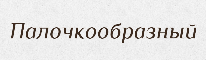 Палочкообразный — Російсько-український академічний словник (А–П)