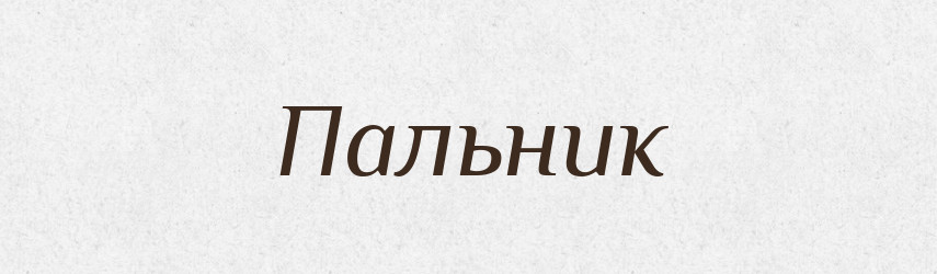 Пальник — Російсько-український академічний словник (А–П)