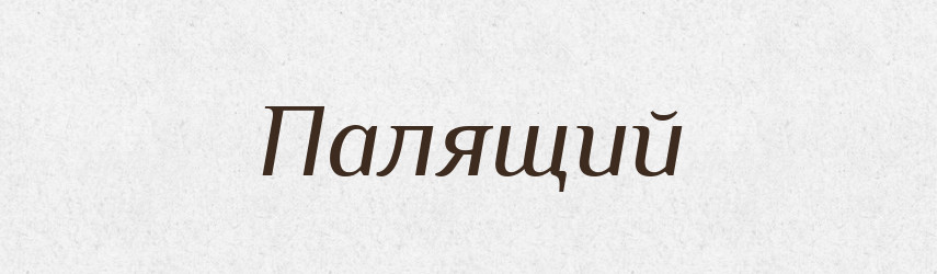 Палящий — Російсько-український академічний словник (А–П)