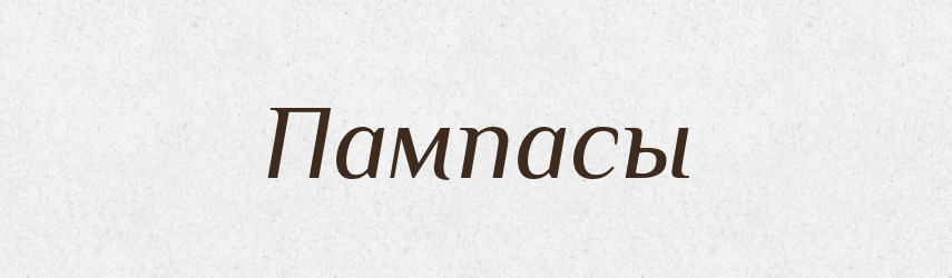Пампасы — Російсько-український академічний словник (А–П)