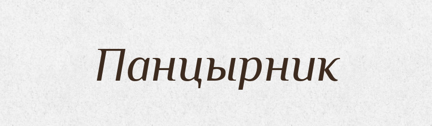 Панцырник — Російсько-український академічний словник (А–П)