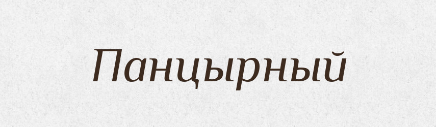 Панцырный — Російсько-український академічний словник (А–П)