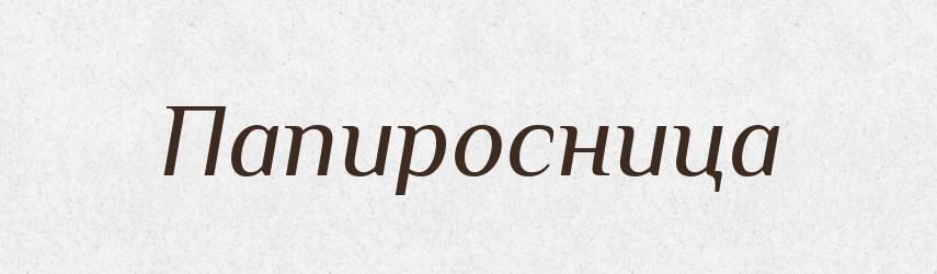 Папиросница — Російсько-український академічний словник (А–П)
