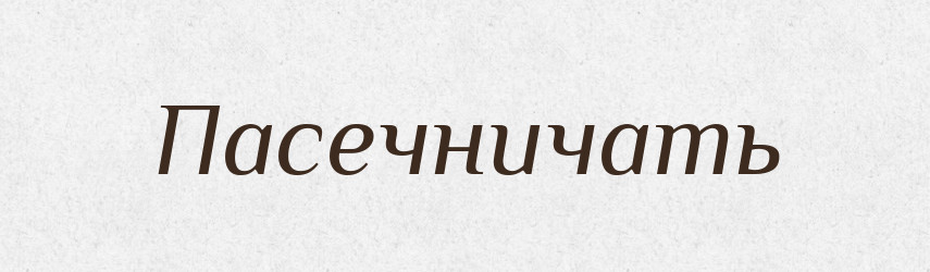 Пасечничать — Російсько-український академічний словник (А–П)