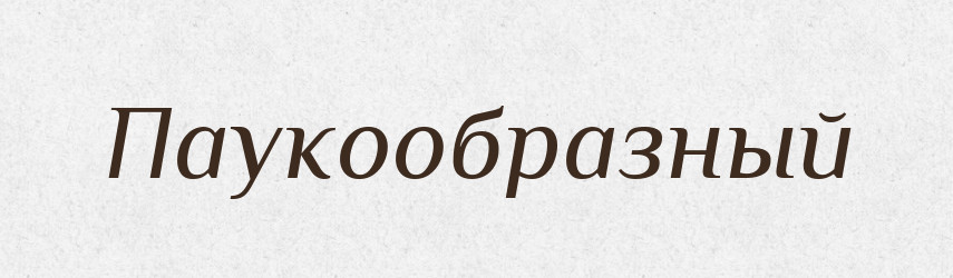 Паукообразный — Російсько-український академічний словник (А–П)
