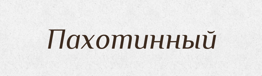 Пахотинный — Російсько-український академічний словник (А–П)