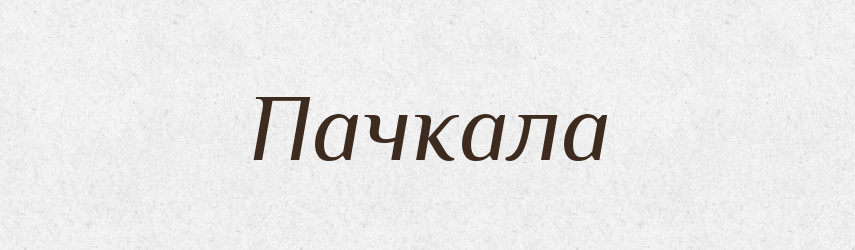 Пачкала — Російсько-український академічний словник (А–П)