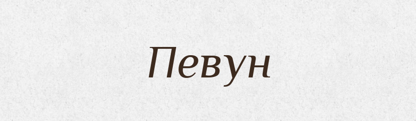 Певун — Російсько-український академічний словник (А–П)