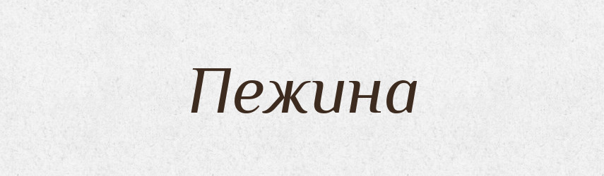 Пежина — Російсько-український академічний словник (А–П)
