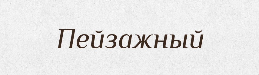 Пейзажный — Російсько-український академічний словник (А–П)