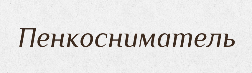 Пенкосниматель — Російсько-український академічний словник (А–П)