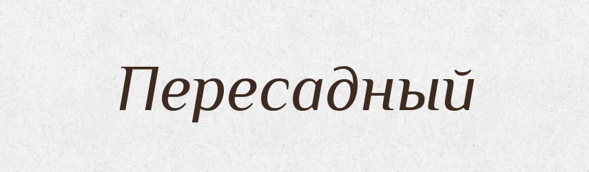 Пересадный — Російсько-український академічний словник (А–П)