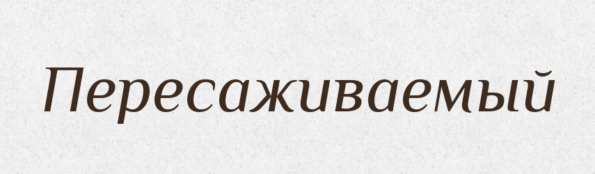 Пересаживаемый — Російсько-український академічний словник (А–П)