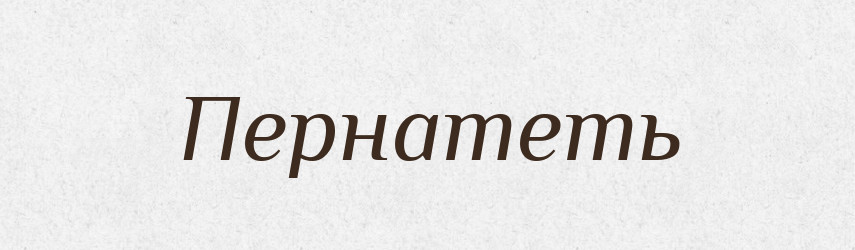 Пернатеть — Російсько-український академічний словник (А–П)