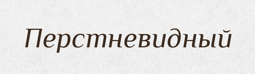 Перстневидный — Російсько-український академічний словник (А–П)