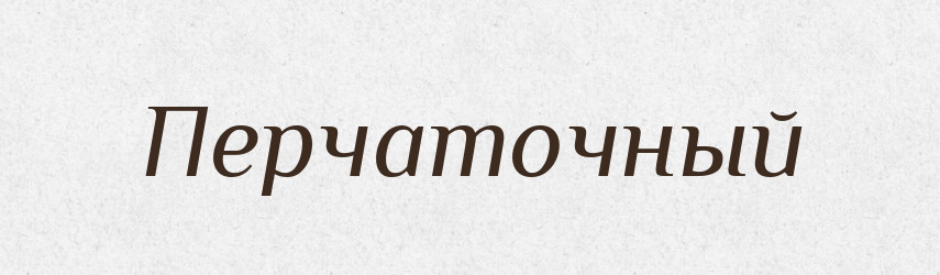 Перчаточный — Російсько-український академічний словник (А–П)