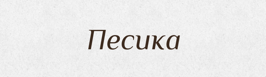 Песика — Російсько-український академічний словник (А–П)