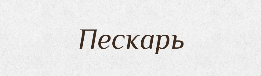 Пескарь — Російсько-український академічний словник (А–П)