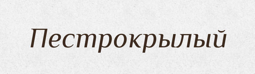Пестрокрылый — Російсько-український академічний словник (А–П)