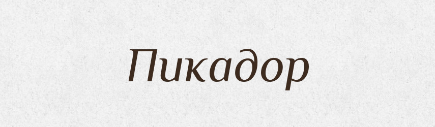 Пикадор — Російсько-український академічний словник (А–П)
