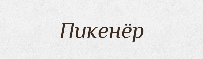 Пикенёр — Російсько-український академічний словник (А–П)