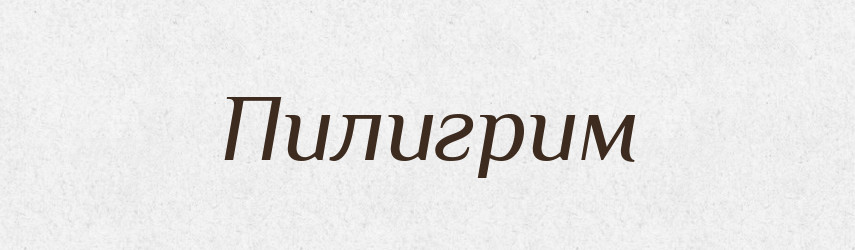 Пилигрим — Російсько-український академічний словник (А–П)