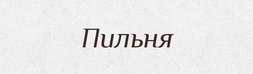 Пильня — Російсько-український академічний словник (А–П)
