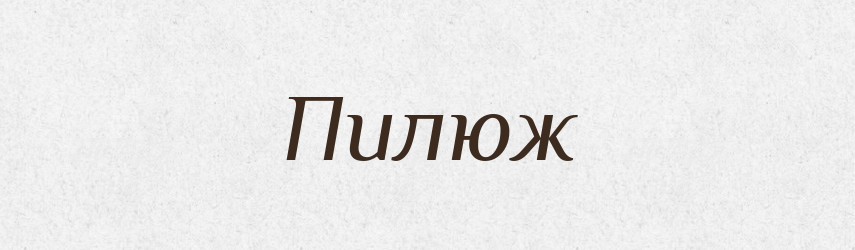 Пилюж — Російсько-український академічний словник (А–П)