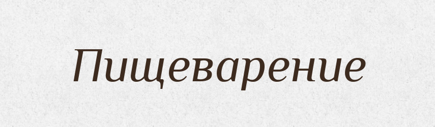 Пищеварение — Російсько-український академічний словник (А–П)