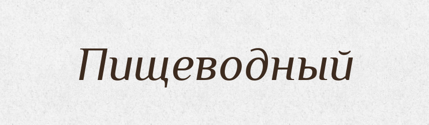 Пищеводный — Російсько-український академічний словник (А–П)