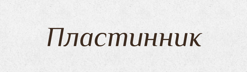 Пластинник — Російсько-український академічний словник (А–П)