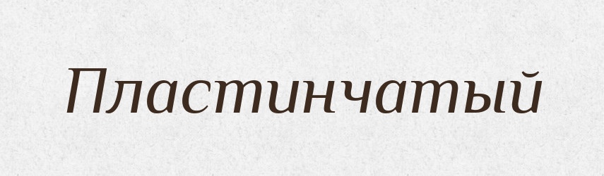 Пластинчатый — Російсько-український академічний словник (А–П)