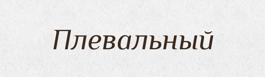 Плевальный — Російсько-український академічний словник (А–П)