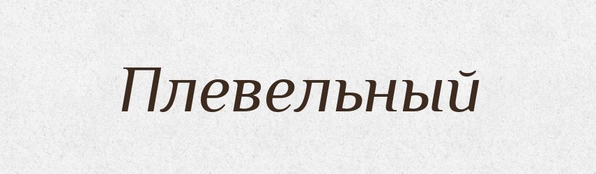 Плевельный — Російсько-український академічний словник (А–П)