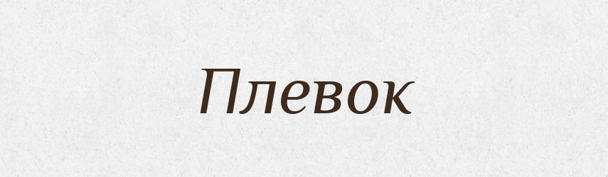 Плевок — Російсько-український академічний словник (А–П)