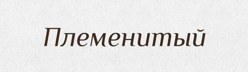 Племенитый — Російсько-український академічний словник (А–П)