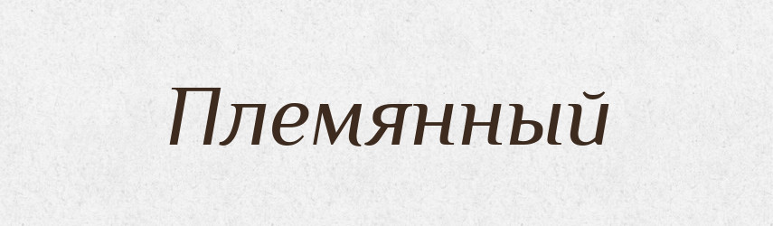 Племянный — Російсько-український академічний словник (А–П)