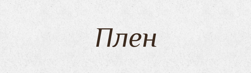 Плен — Російсько-український академічний словник (А–П)