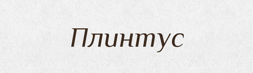 Плинтус — Російсько-український академічний словник (А–П)