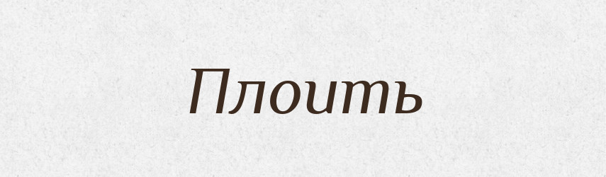 Плоить — Російсько-український академічний словник (А–П)