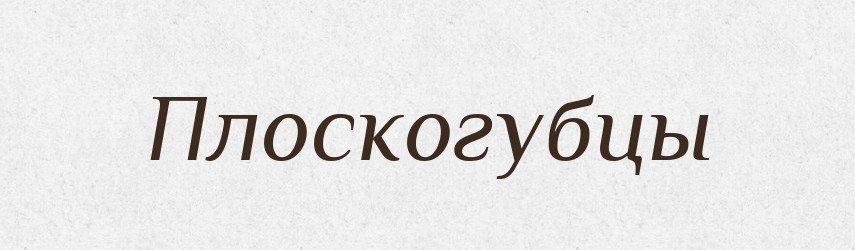 Плоскогубцы — Російсько-український академічний словник (А–П)